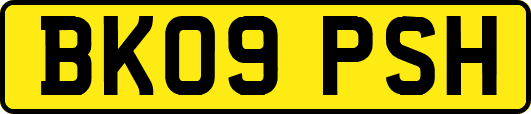 BK09PSH