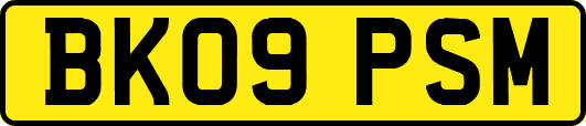 BK09PSM