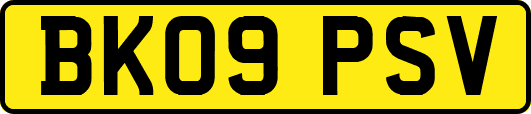 BK09PSV