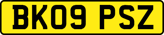 BK09PSZ