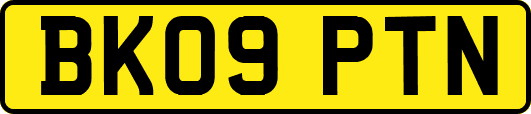 BK09PTN