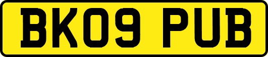 BK09PUB
