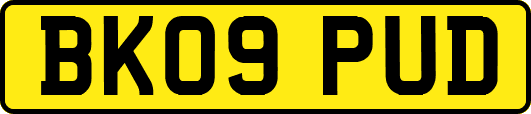 BK09PUD
