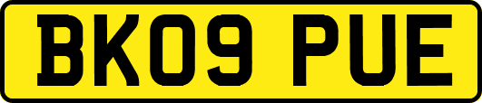 BK09PUE