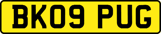 BK09PUG