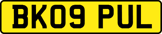 BK09PUL
