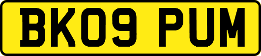 BK09PUM
