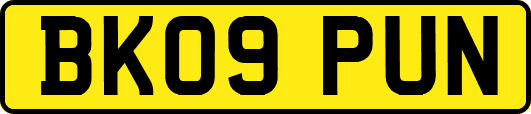 BK09PUN