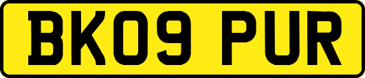 BK09PUR