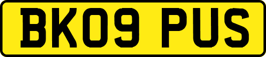 BK09PUS