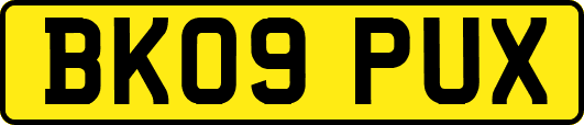 BK09PUX