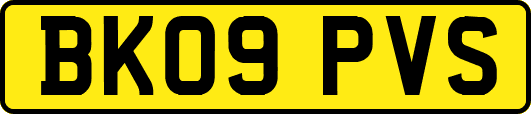 BK09PVS