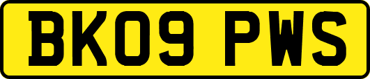 BK09PWS
