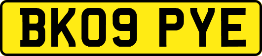 BK09PYE