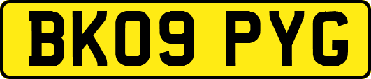 BK09PYG