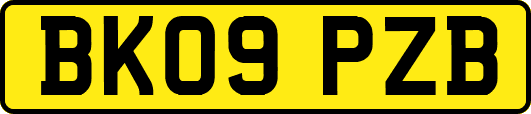 BK09PZB