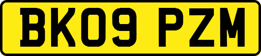 BK09PZM