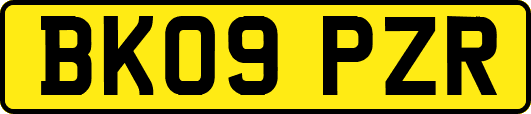 BK09PZR