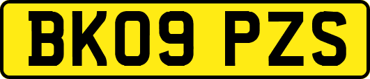 BK09PZS