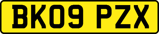 BK09PZX