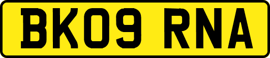 BK09RNA