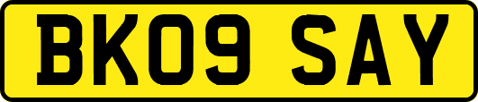 BK09SAY