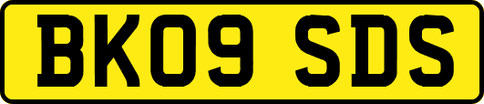 BK09SDS