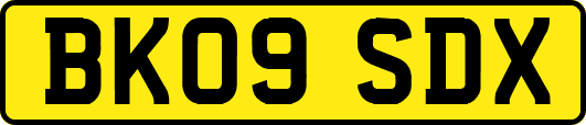 BK09SDX
