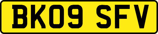 BK09SFV