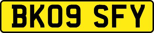 BK09SFY