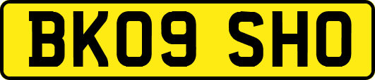 BK09SHO
