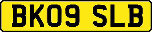 BK09SLB