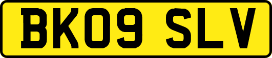 BK09SLV