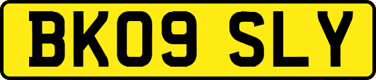 BK09SLY