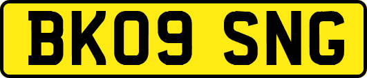 BK09SNG