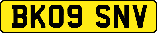BK09SNV