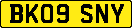 BK09SNY