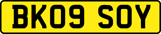 BK09SOY