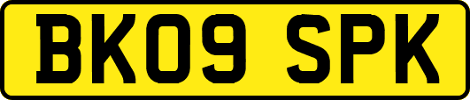 BK09SPK