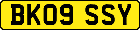 BK09SSY