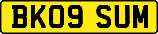 BK09SUM