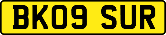 BK09SUR