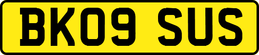 BK09SUS