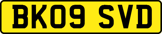 BK09SVD