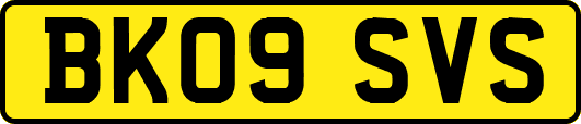 BK09SVS