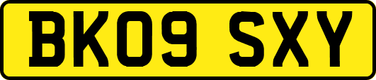 BK09SXY