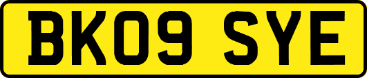 BK09SYE