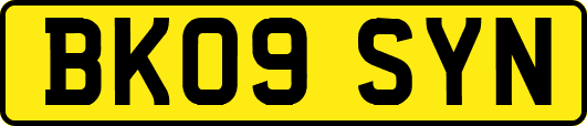 BK09SYN
