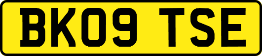 BK09TSE