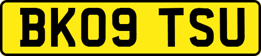 BK09TSU